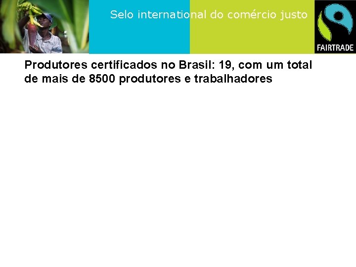 Selo international do comércio justo Produtores certificados no Brasil: 19, com um total de