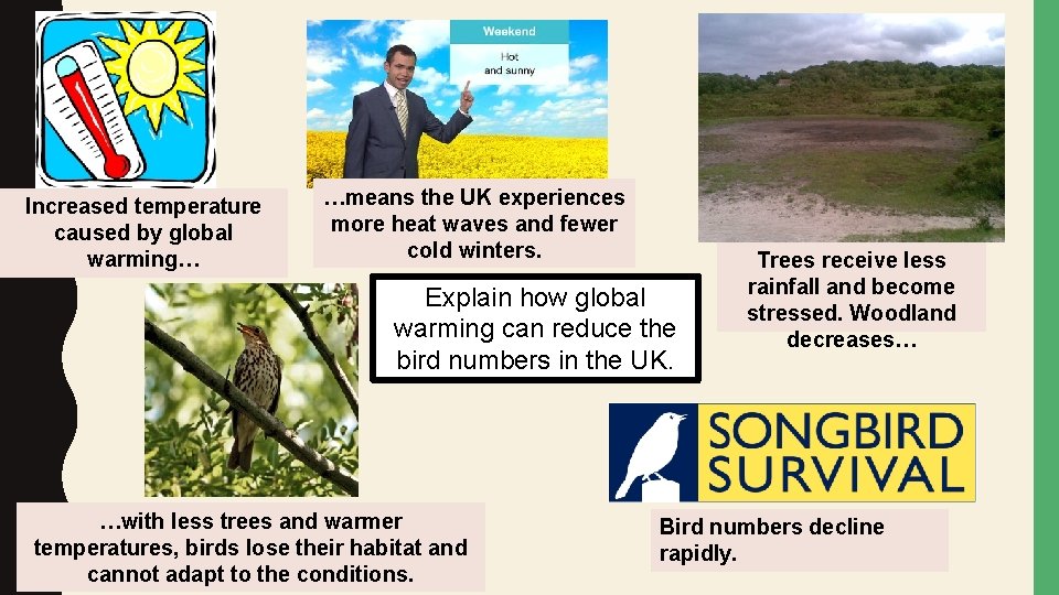 Increased temperature caused by global warming… …means the UK experiences more heat waves and Increased temperature caused by global warming… …means the UK experiences more heat waves and
