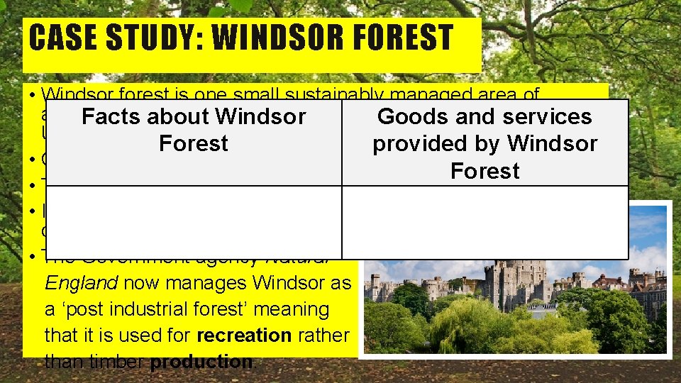 3 7 Deciduous woodland ecosystems provide a range