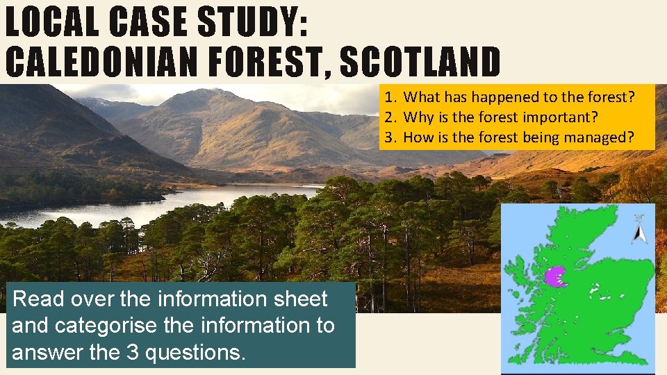 LOCAL CASE STUDY: CALEDONIAN FOREST, SCOTLAND 1. What has happened to the forest? 2. LOCAL CASE STUDY: CALEDONIAN FOREST, SCOTLAND 1. What has happened to the forest? 2.
