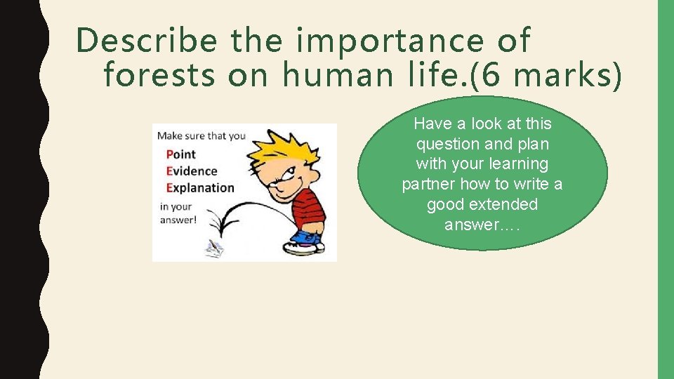 Describe the importance of forests on human life. (6 marks) Have a look at Describe the importance of forests on human life. (6 marks) Have a look at