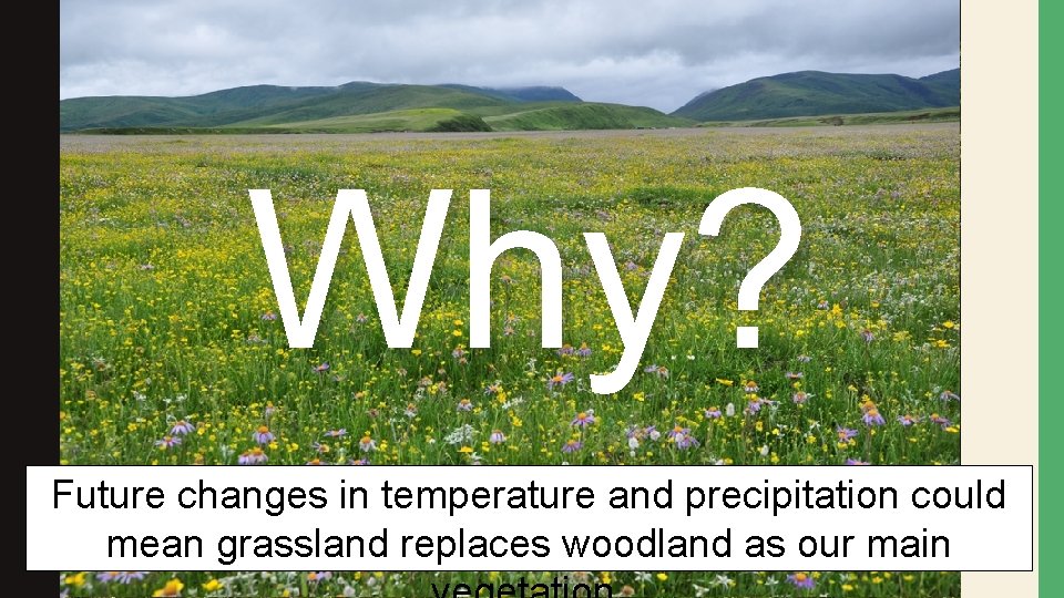 Why? Future changes in temperature and precipitation could mean grassland replaces woodland as our Why? Future changes in temperature and precipitation could mean grassland replaces woodland as our