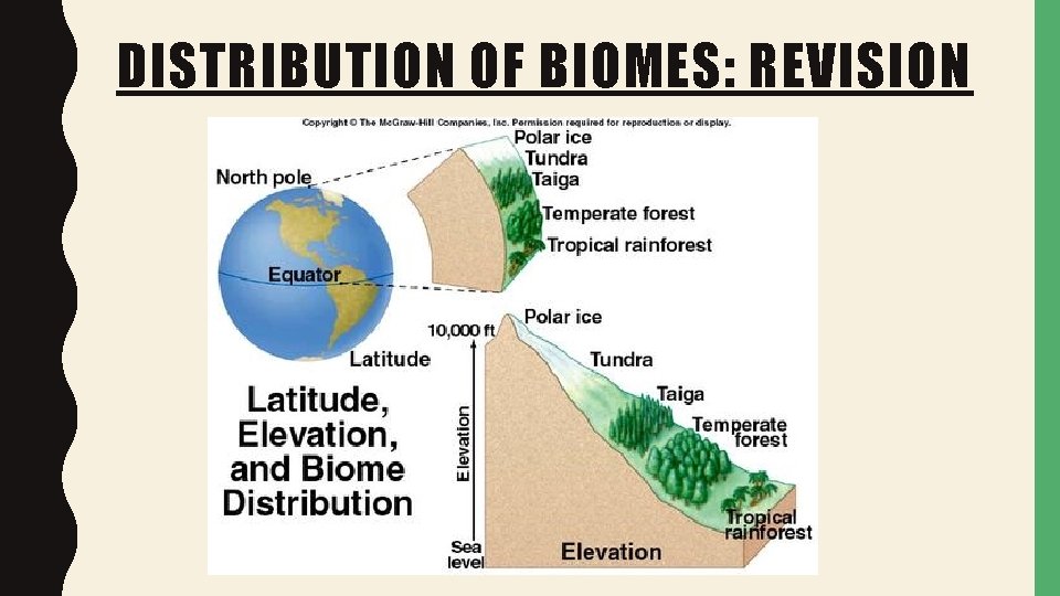 DISTRIBUTION OF BIOMES: REVISION DISTRIBUTION OF BIOMES: REVISION