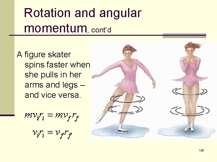 Rotation and angular momentum, cont’d A figure skater spins faster when she pulls in