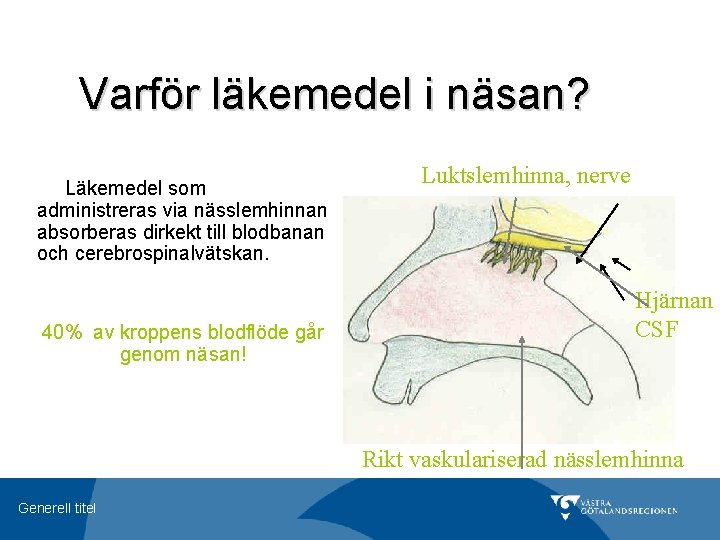 Varför läkemedel i näsan? Läkemedel som administreras via nässlemhinnan absorberas dirkekt till blodbanan och