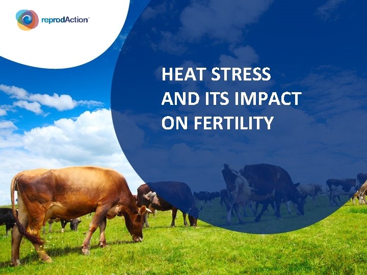 HEAT STRESS AND ITS IMPACT ON FERTILITY 