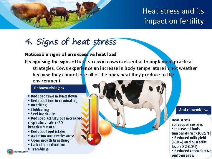 Heat stress and its impact on fertility 4. Signs of heat stress Noticeable signs