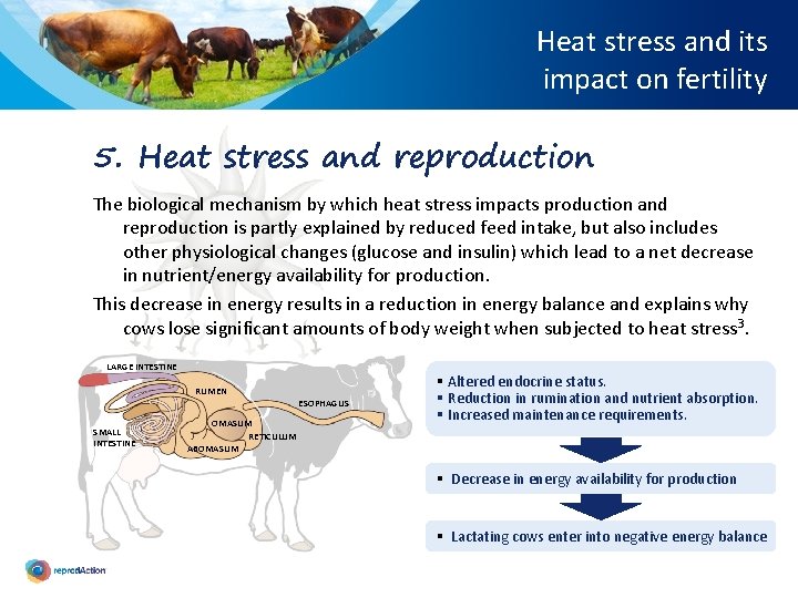 Heat stress and its impact on fertility 5. Heat stress and reproduction The biological