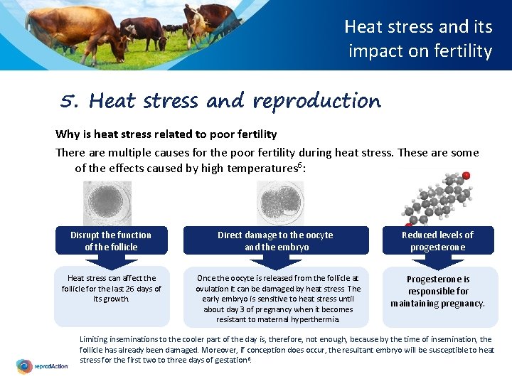 Heat stress and its impact on fertility 5. Heat stress and reproduction Why is