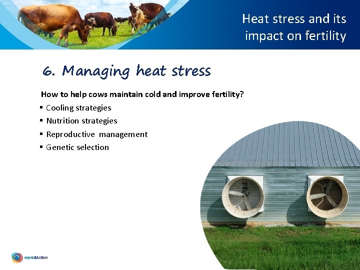 Heat stress and its impact on fertility 6. Managing heat stress How to help
