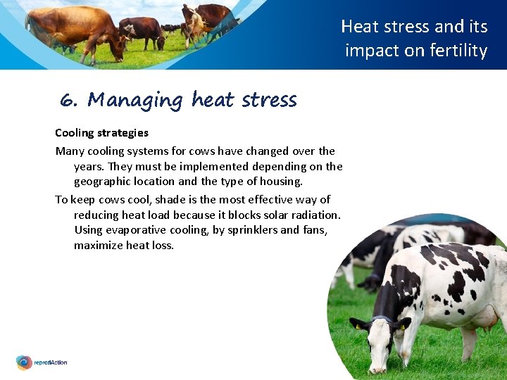 Heat stress and its impact on fertility 6. Managing heat stress Cooling strategies Many