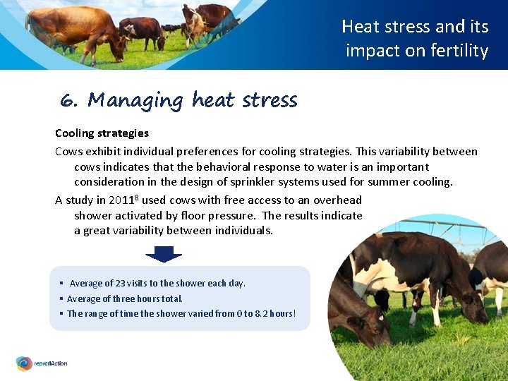 Heat stress and its impact on fertility 6. Managing heat stress Cooling strategies Cows