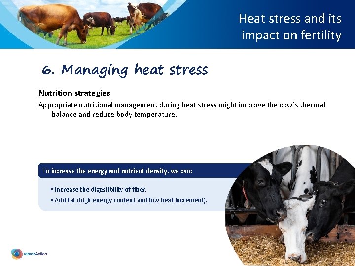 Heat stress and its impact on fertility 6. Managing heat stress Nutrition strategies Appropriate