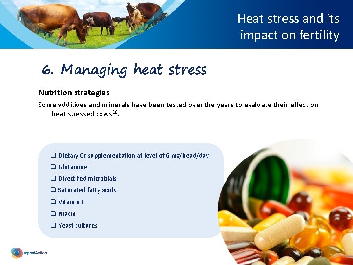 Heat stress and its impact on fertility 6. Managing heat stress Nutrition strategies Some