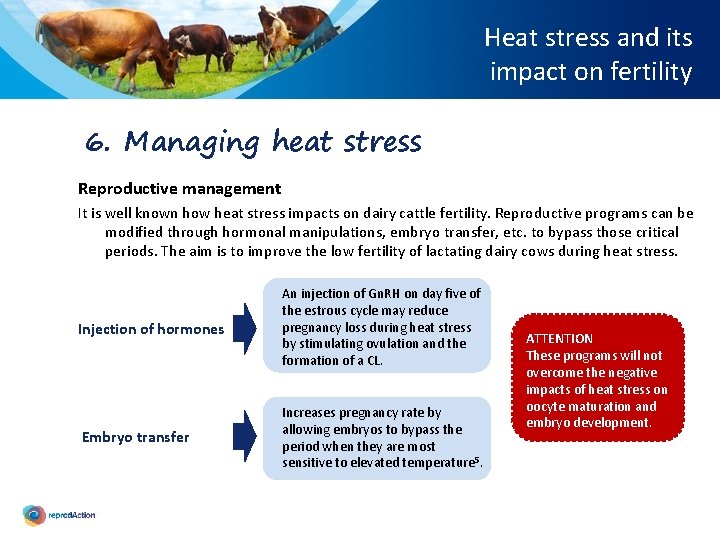Heat stress and its impact on fertility 6. Managing heat stress Reproductive management It