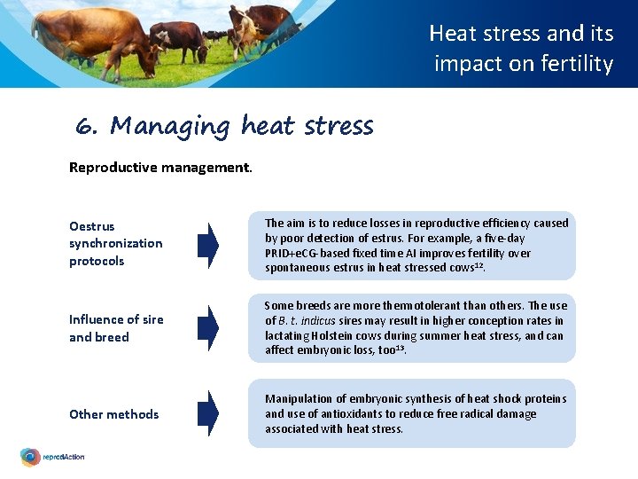 Heat stress and its impact on fertility 6. Managing heat stress Reproductive management. Oestrus