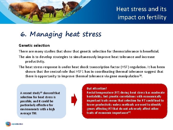 Heat stress and its impact on fertility 6. Managing heat stress Genetic selection There