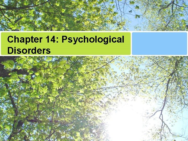 Chapter 14: Psychological Disorders 