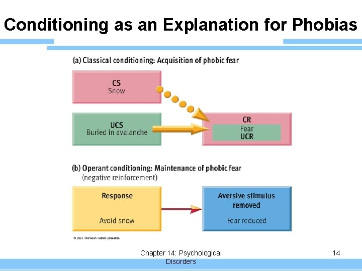 Conditioning as an Explanation for Phobias Chapter 14: Psychological Disorders 14 