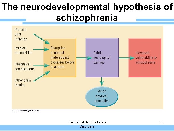 The neurodevelopmental hypothesis of schizophrenia Chapter 14: Psychological Disorders 30 