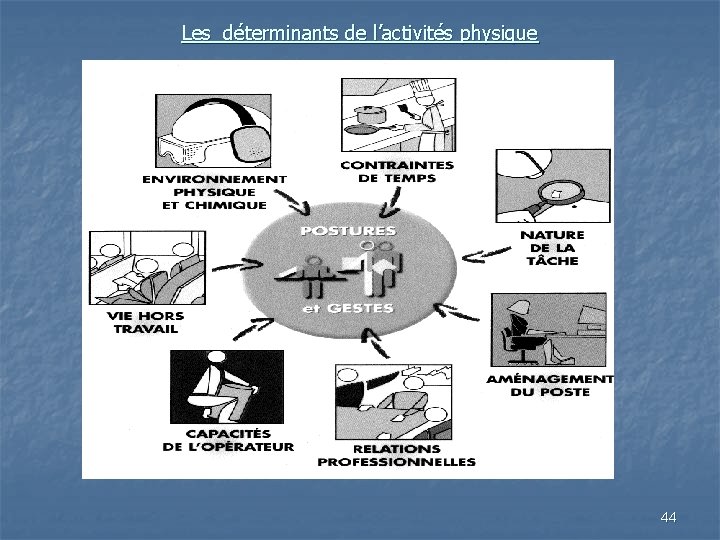 Les déterminants de l’activités physique 44 