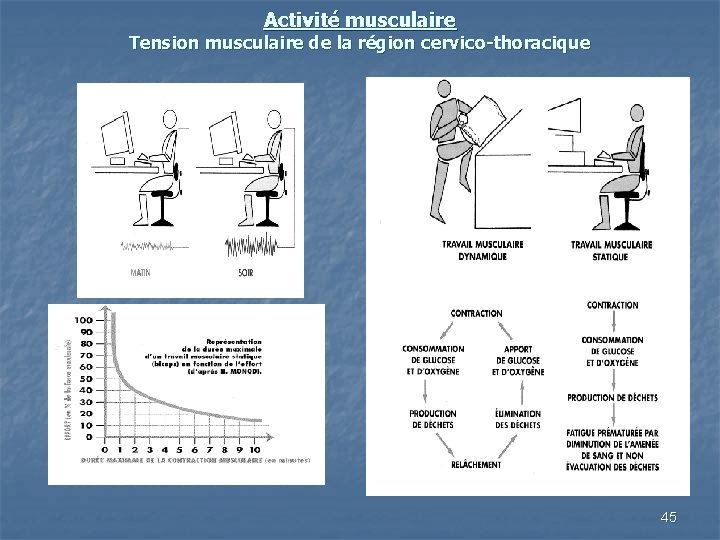 Activité musculaire Tension musculaire de la région cervico-thoracique 45 
