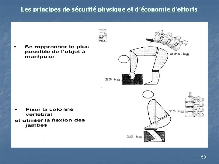 Les principes de sécurité physique et d’économie d’efforts 50 