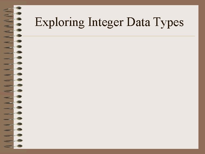 Exploring Integer Data Types 