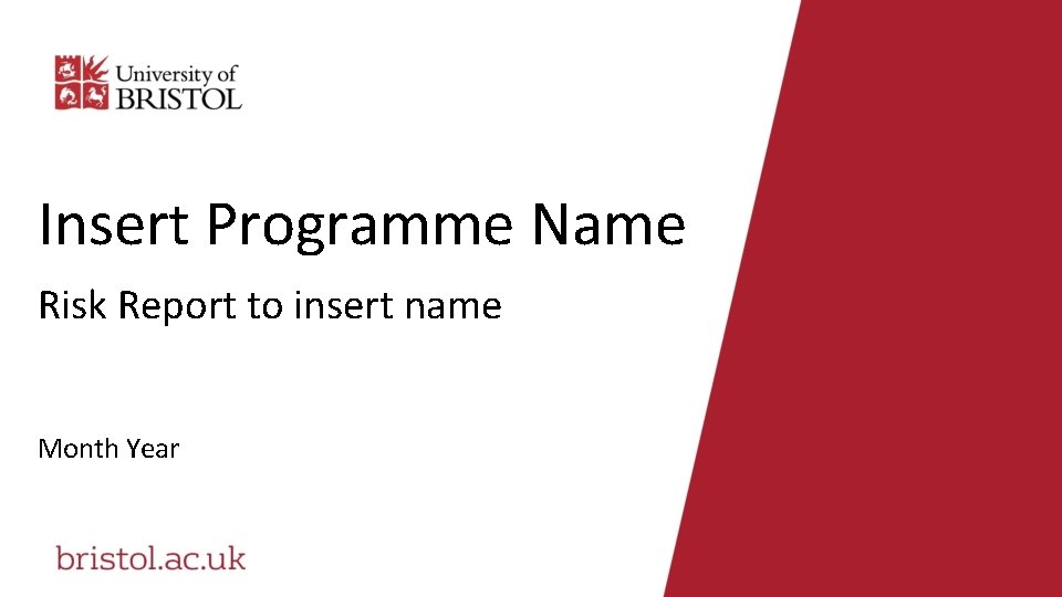 Insert Programme Name Risk Report to insert name Month Year 
