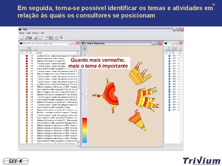 14 Em seguida, torna-se possível identificar os temas e atividades em relação às quais