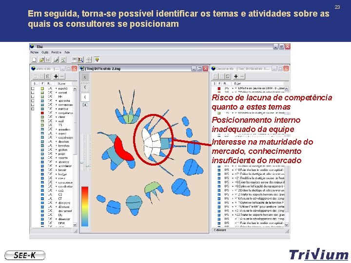 Em seguida, torna-se possível identificar os temas e atividades sobre as quais os consultores