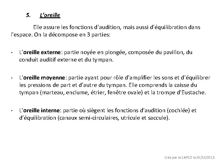 5. L’oreille Elle assure les fonctions d’audition, mais aussi d’équilibration dans l’espace. On la