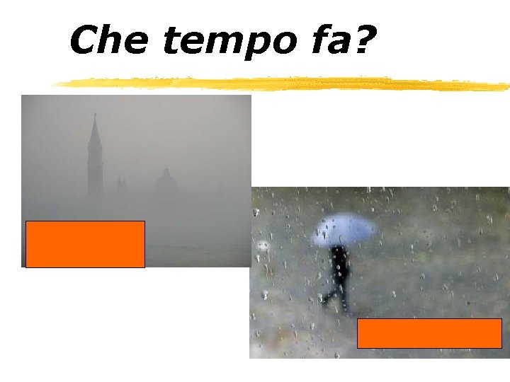 Che tempo fa? la nebbia (a Padova) un acquazzone 