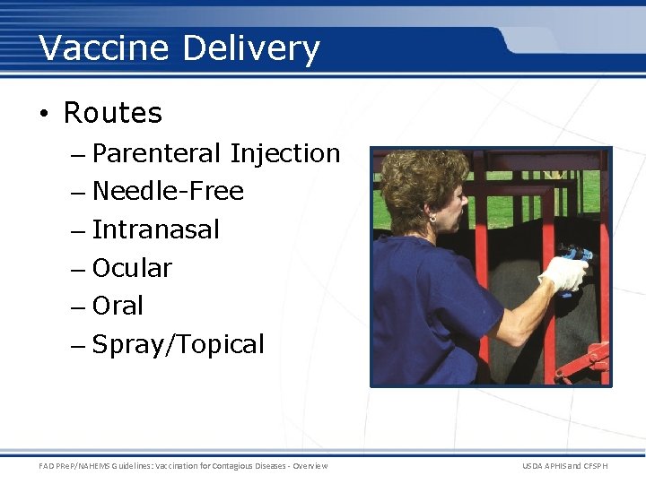 Vaccine Delivery • Routes – Parenteral Injection – Needle-Free – Intranasal – Ocular – Vaccine Delivery • Routes – Parenteral Injection – Needle-Free – Intranasal – Ocular –