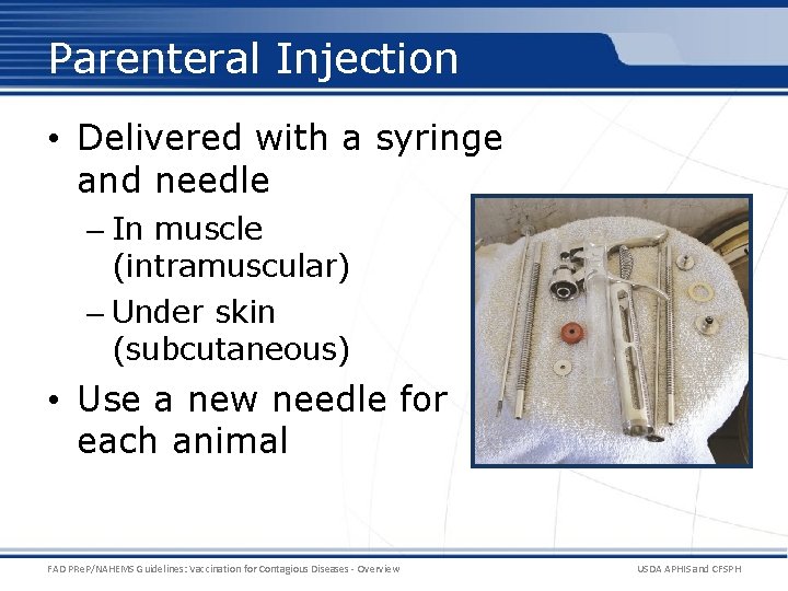Parenteral Injection • Delivered with a syringe and needle – In muscle (intramuscular) – Parenteral Injection • Delivered with a syringe and needle – In muscle (intramuscular) –