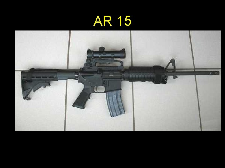 AR 15 