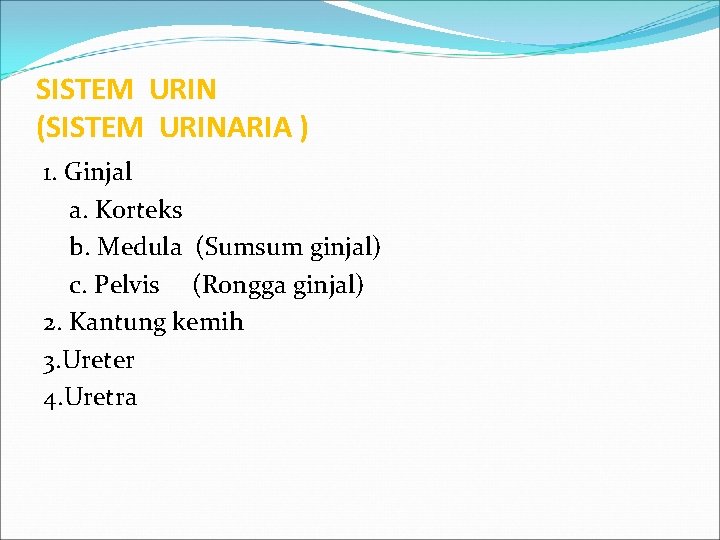 SISTEM URIN (SISTEM URINARIA ) 1. Ginjal a. Korteks b. Medula (Sumsum ginjal) c.