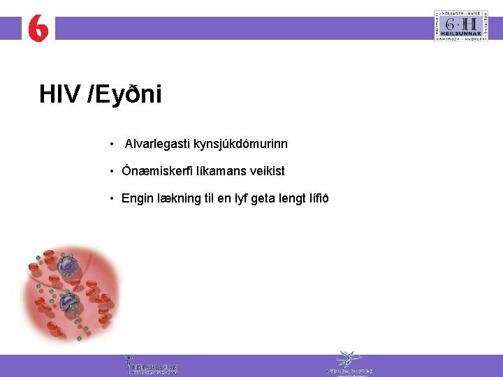HIV /Eyðni • Alvarlegasti kynsjúkdómurinn • Ónæmiskerfi líkamans veikist • Engin lækning til en
