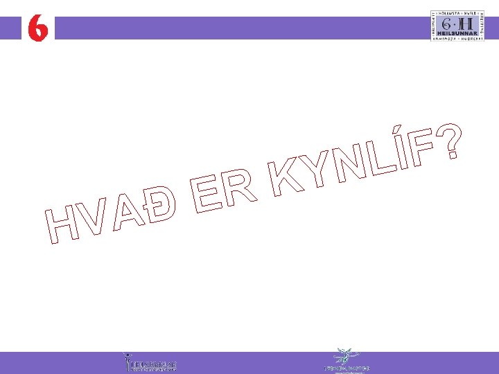 A V H K R ÐE ? F Í L N Y 