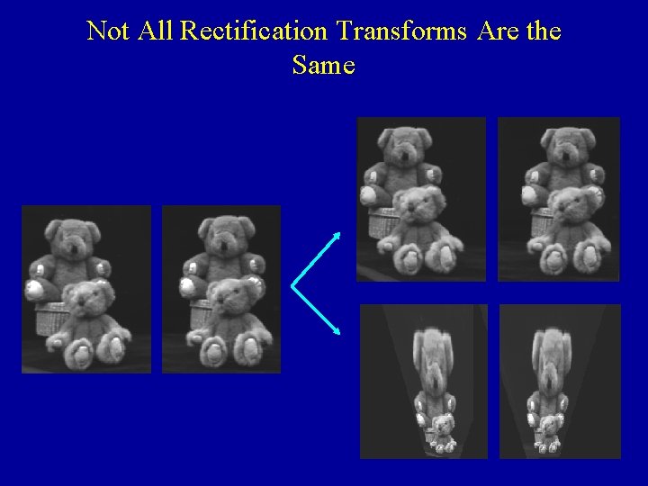 Not All Rectification Transforms Are the Same 