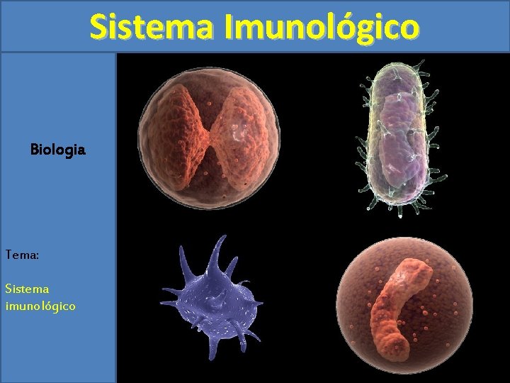Sistema Imunológico Biologia Tema: Sistema imunológico 