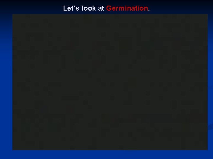 Let’s look at Germination. 