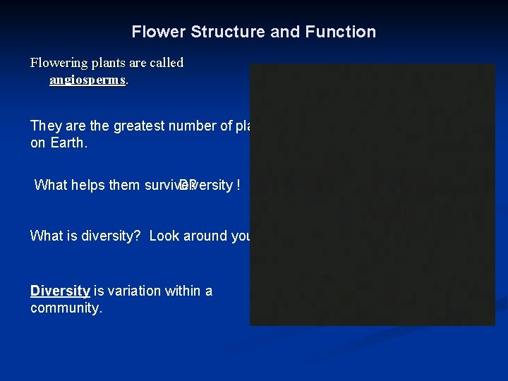 Flower Structure and Function Flowering plants are called angiosperms. They are the greatest number