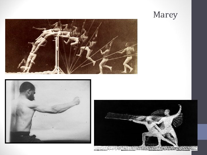 Marey 