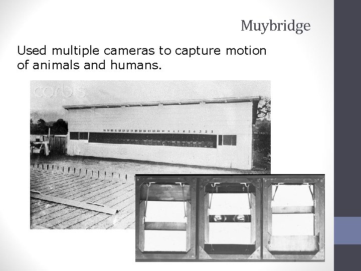 Muybridge Used multiple cameras to capture motion of animals and humans. 