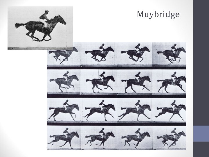 Muybridge 