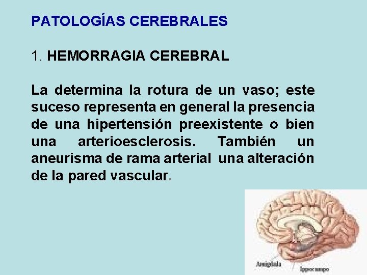 PATOLOGÍAS CEREBRALES 1. HEMORRAGIA CEREBRAL La determina la rotura de un vaso; este suceso