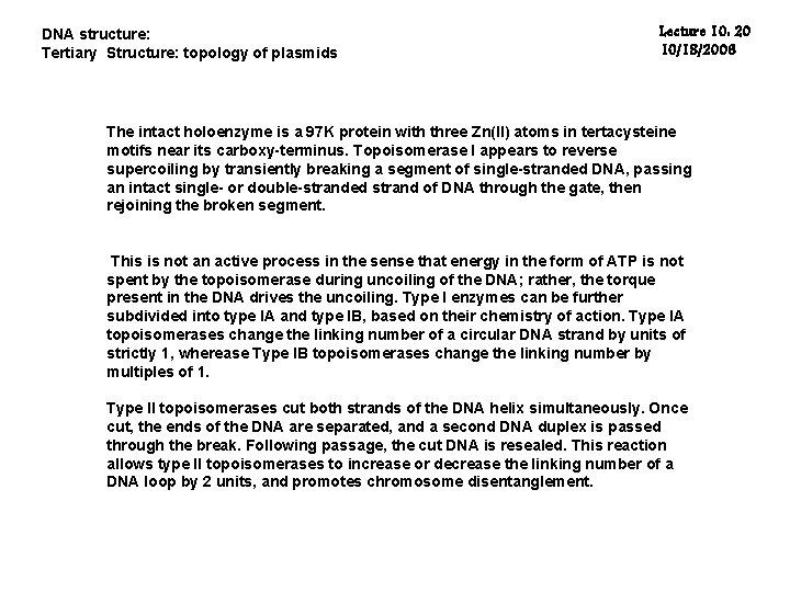 DNA structure: Tertiary Structure: topology of plasmids Lecture 10: 20 10/18/2006 The intact holoenzyme