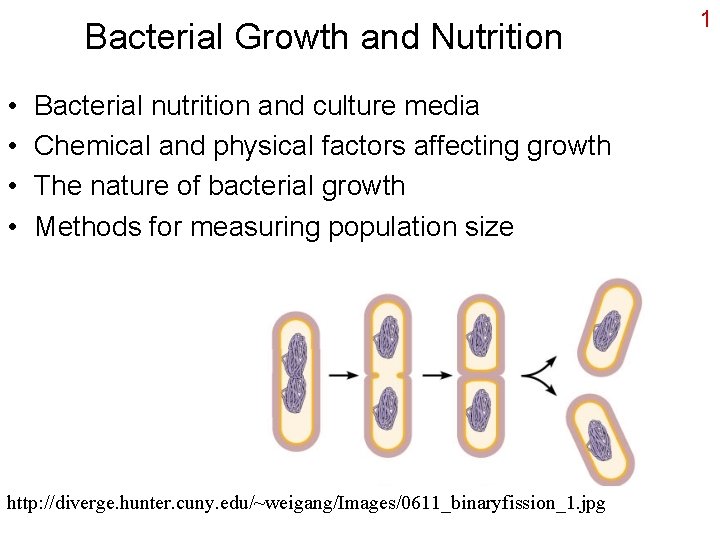 Bacterial Growth and Nutrition • • Bacterial nutrition and culture media Chemical and physical