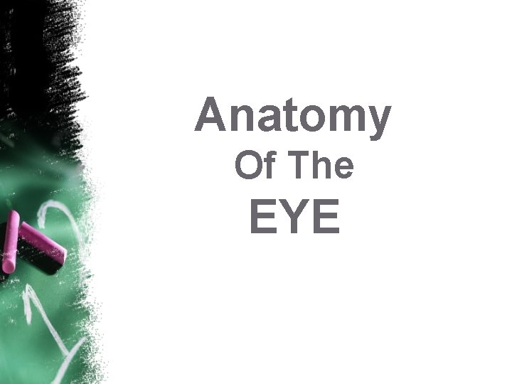 Anatomy Of The EYE 